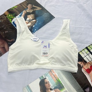 Áo lá học sinh cotton kèm mút đệm liền 8927 cho bé gái mới lớn dậy thì cấp 1, cấp 2, cấp 3 mềm mịn thoáng mát
