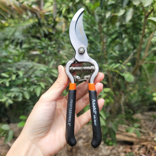 Kéo cắt cành asaki thép nhật dụng cụ cắt tỉa cây cảnh làm vườn bonsai