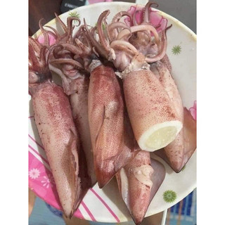 Mực Trứng FULL Trứng
