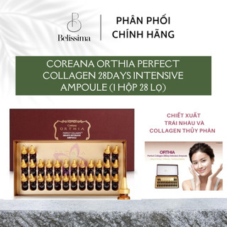Coreana orthia tế bào gốc collagen 28 ngày coreana orthia perfect collagen 28days intensive ampoule