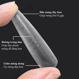 móng úp chia vạch, móng úp nhám sẵn 240 móng