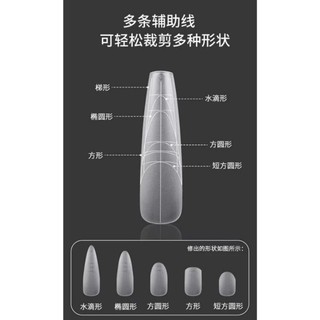 móng úp chia vạch, móng úp nhám sẵn 240 móng