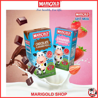 Sữa Tiệt Trùng Marigold vị socola và dâu có đường thùng 24 hộp 200ml Công thức Bone Plus - mix 2 vị socola và dâu