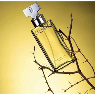 Nước Hoa Nữ CK Eternity 100ml EDP (Authentic)