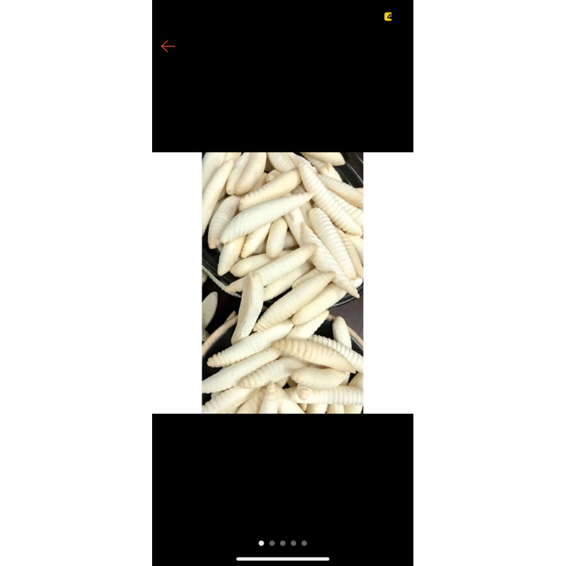 Bánh con sùng