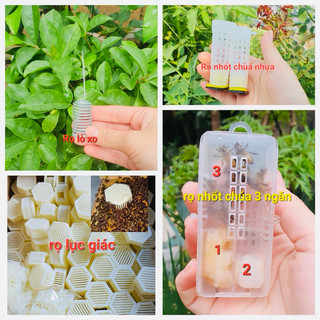 Rọ nhốt Ong Chúa các loại