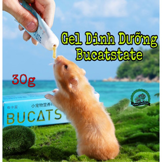 Gel dinh dưỡng Bucatstate cho hamster/sóc/nhím... Gel dinh dưỡng cho hamster 30g