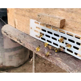Chắn cửa tổ ( Chắn Ong Chúa)