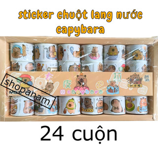 Khay 24 cuộn sticker chuột lang nước , capybara roll sticker 24 pcs
