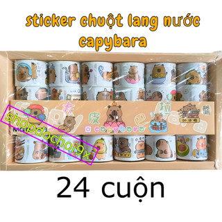 Khay 24 cuộn sticker chuột lang nước