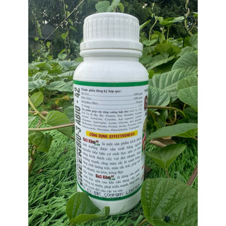 Phân Bón GA3 KẼM SỮA ( Bung Chồi, Kéo Đọt, Mập Đọt, Kích Bông, Lớn Trái ) chai 500ml