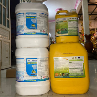  Phân Bón Hữu Cơ OVER GREEN GOLD và FRUIT MAX 10 của APN ra rễ phục hồi cây suy dưỡng cây nuôi trái bóng trái xanh lá dày 
