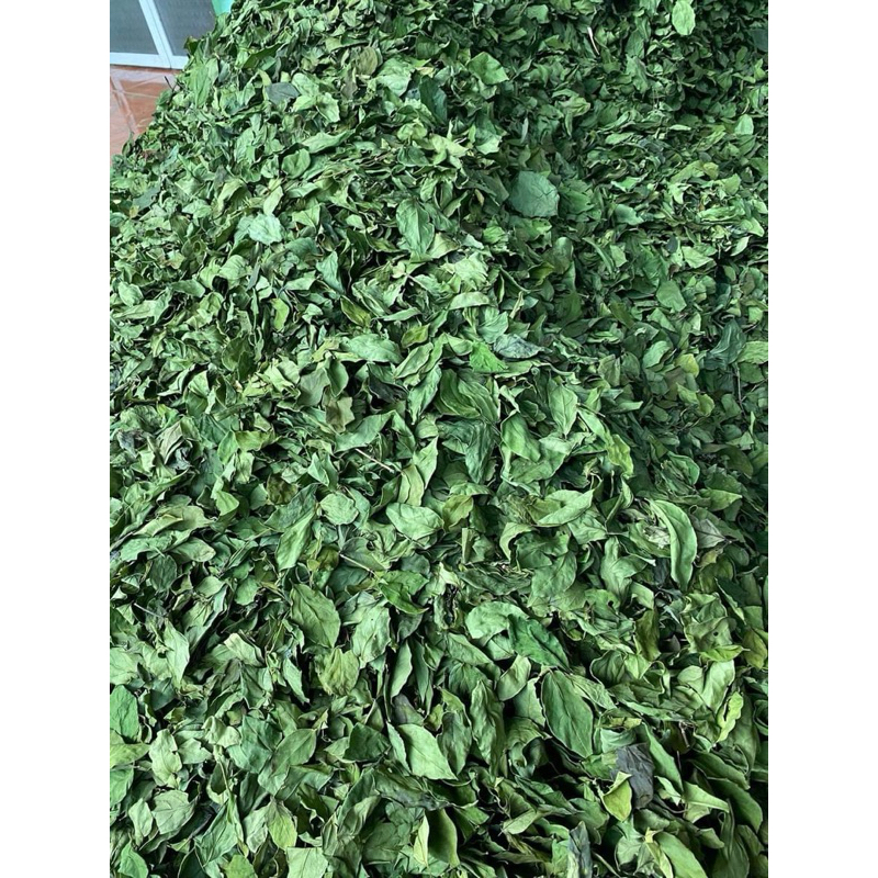 combo 5kg lá găng khô ( giá sỉ )