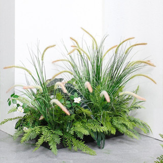 Cỏ lau giả, cành lau đuôi chồn 1 bụi 5 nhánh hoa 70cm trang trí quán cà phê, sự kiện, decor tiệc cưới