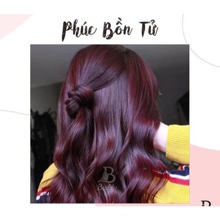 Thuốc nhuộm tóc màu Tím phúc bồn tử + tặng kèm oxy và gang tay