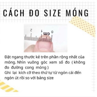nailbox thạch đính đá trái tim