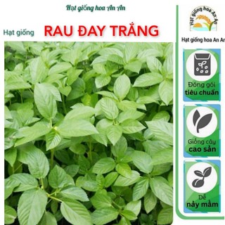 Hạt giống rau Rau đay xanh | Hạt giống chất lượng cao