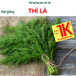 Deal 1k - 50 hạt giống rau thì là, độ thuần:>99% xuất xứ: việt nam