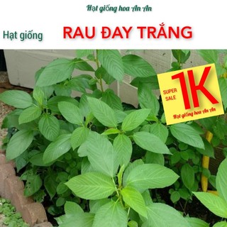 Deal 1k- 100 hạt giống rau đay trắng - hạt chất lượng tốt.