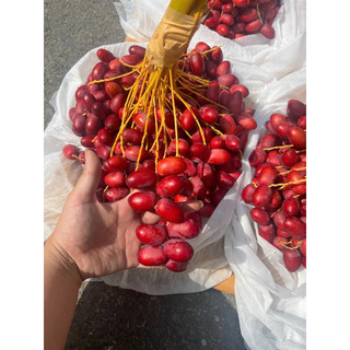 {Thanh Fruit HỎA TỐC }CHÀ LÀ TƯƠI => HÀNG MỚI VỀ
