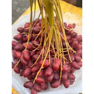 {Thanh Fruit HỎA TỐC }CHÀ LÀ TƯƠI => HÀNG MỚI VỀ