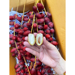 {Thanh Fruit HỎA TỐC }CHÀ LÀ TƯƠI => HÀNG MỚI VỀ