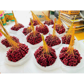 {Thanh Fruit HỎA TỐC }CHÀ LÀ TƯƠI => HÀNG MỚI VỀ