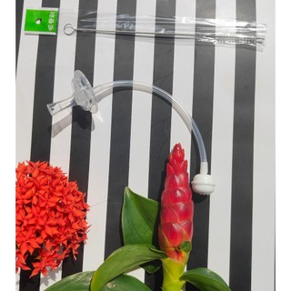 Phụ kiện cho bình Pur cổ thường, cổ hẹp