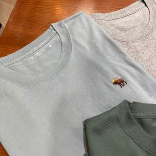 Chính Hãng Áo Thun Abercrombie Soft Polished Tee