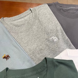 Chính Hãng Áo Thun Abercrombie Soft Polished Tee