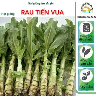 Hạt giống rau tiến vua ăn giòn ngon.