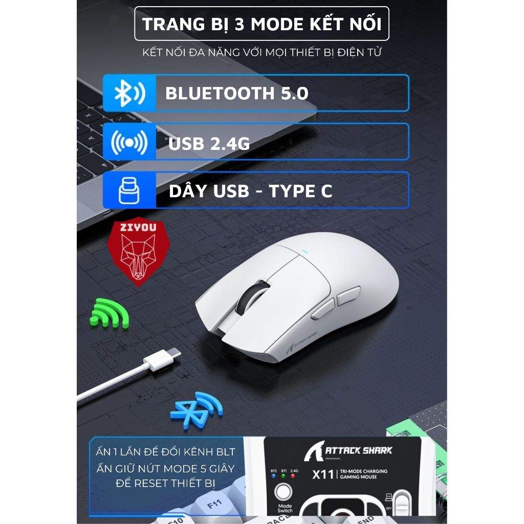 Chuột Không Dây Bluetooth Chuyên Gaming Ziyou Attack Shark X11 Chip Khủng PAW3311 Pollingrate 1Khz | BigBuy360 - bigbuy360.vn