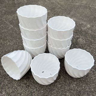combo 10 Chậu nhựa trồng cây hoa,sen đá hoạ tiết xoắn ốc - Chậu trồng cây để bàn màu trắng dày đẹp