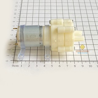 Động cơ bơm nước rs365 6-12vdc