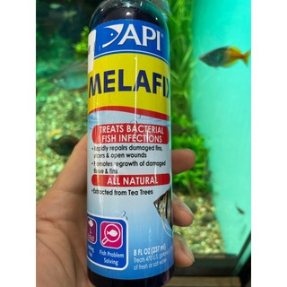 Sản phẩm trị nhiễm khuẩn ở cá API MELAFIX