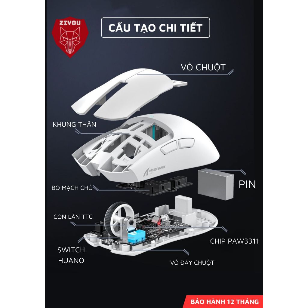 Chuột Không Dây Bluetooth Chuyên Gaming Ziyou Attack Shark X11 Chip Khủng PAW3311 Pollingrate 1Khz | BigBuy360 - bigbuy360.vn