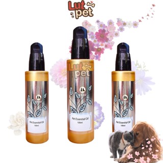 Nước hoa, tinh dầu cho chó mèo Show Queen, dưỡng lông, khử mùi, khử hôi cho thú cưng - lutpet