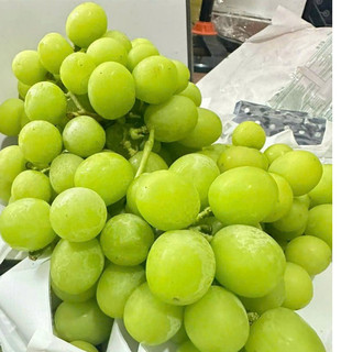 Nho Xanh Không Hạt Úc Hàng Air tươi ngọt