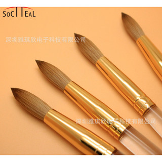 Cọ đắp móng bột (cán cọ trong suốt)