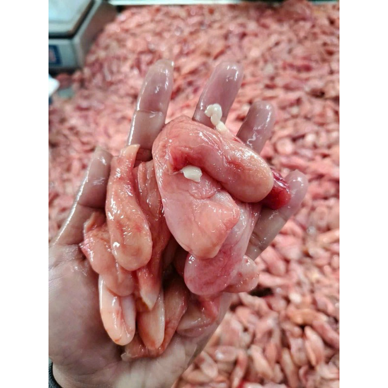 1kg Bao tử Cá Basa (hoả tốc tphcm)