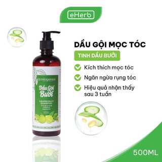 Dầu Gội Bưởi Làm Sạch Da Đầu & Kích Thích Mọc Tóc Tinh Dầu Bưởi Nguyên Chất MILAGANICS 500ml (Chai)