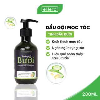 [NEW VERSION] Dầu Gội Bưởi Ngừa Rụng & Kích Thích Mọc Tóc Từ Tinh Dầu Bưởi MILAGANICS 280ml (Chai)