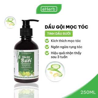 Dầu Gội Mọc Tóc Từ Tinh Dầu Bưởi Thiên Nhiên, Hiệu Quả Nhận Thấy Sau 3 Tuần MILAGANICS 250ml (Chai)