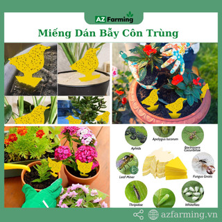 Miếng dán bẫy côn trùng hình dán cute - az farming