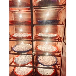 Bột Sắn dây nhà làm 500g