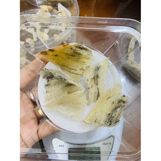 chân yến thô 10g tặng kèm nhíp ( một đơn kèm 1 nhíp )táo đường chưng cùng