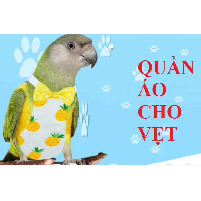 ÁO LIỀN QUẦN CHO MỌI DÒNG VẸT (KẾT HỢP LÀM TÃ BỈM CHO VẸT TRÁNH Ị LUNG TUNG)