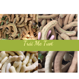 Me xanh tươi  chua 500g chấm muối, nấu canh chua tươi non - Nông Sản Vân Nội