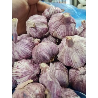 500gr tỏi củ nhánh- tỏi sạch vân nội