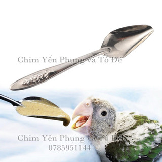 Muỗng kim loại dùng để đút bột/sữa cho Vẹt, Sóc...